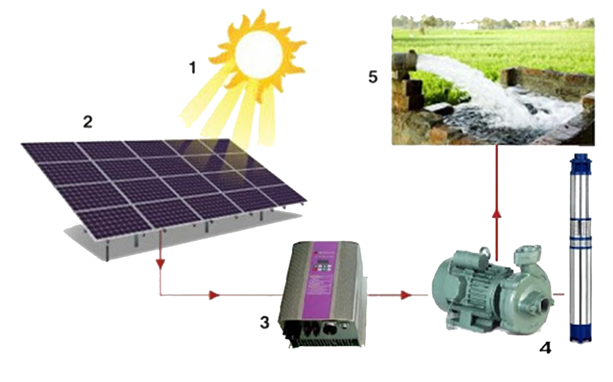 solar-water-pumps-help-rural-regions.png